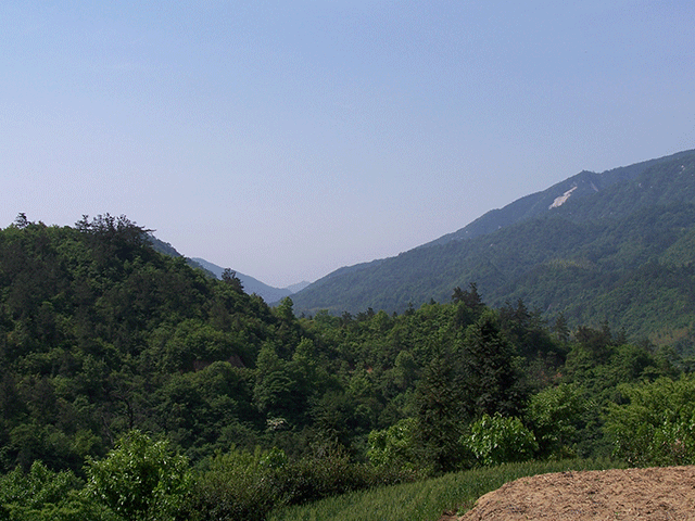 大别山深处有这样一个小村庄