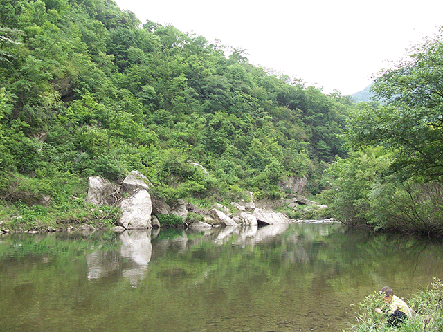 大别山深处有这样一个小村庄