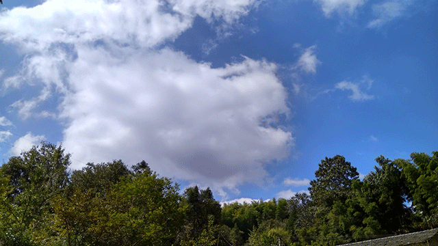 大别山深处有这样一个小村庄