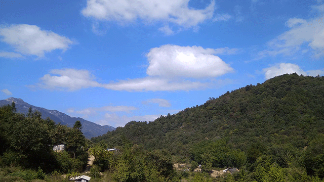 大别山深处有这样一个小村庄