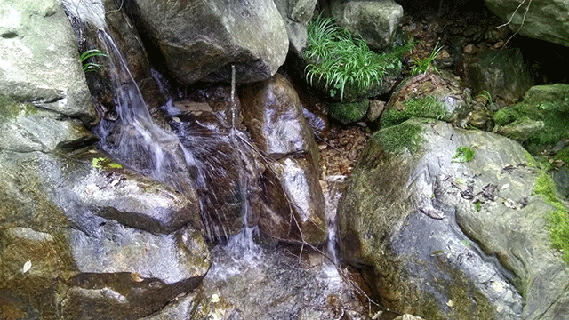 大别山深处有这样一个小村庄