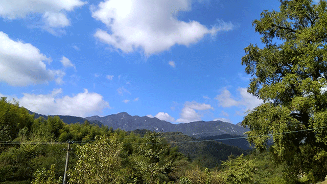 在安徽大别山深处有这样一个小村庄