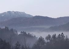 在安徽大别山深处有这样一个小村庄