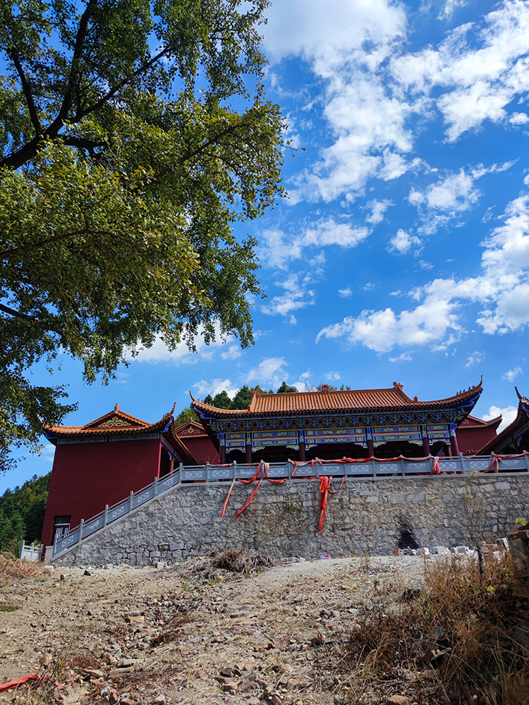 金寨银杏寺