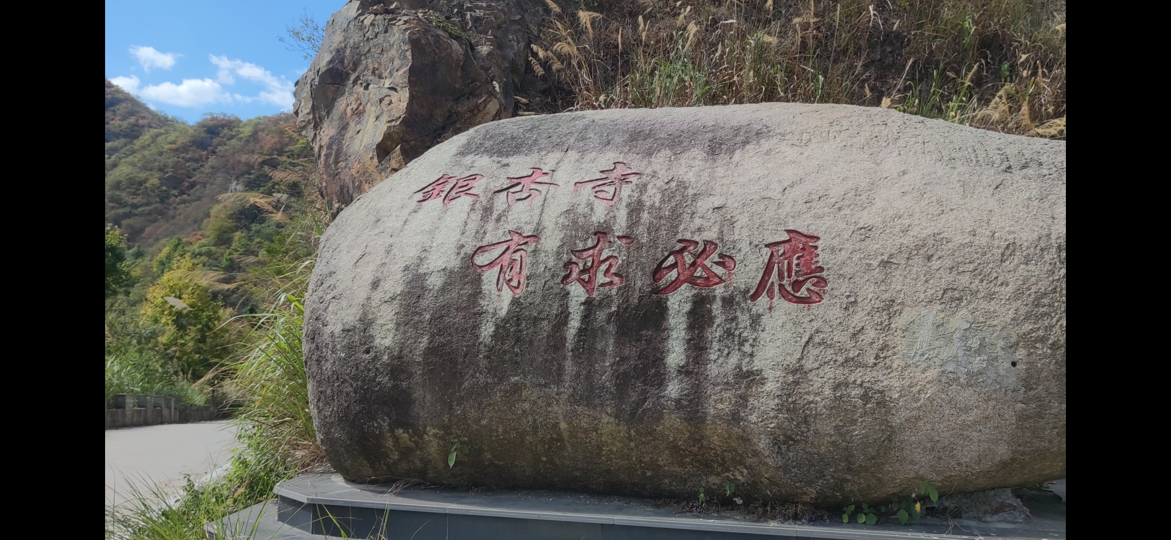 金寨银杏寺