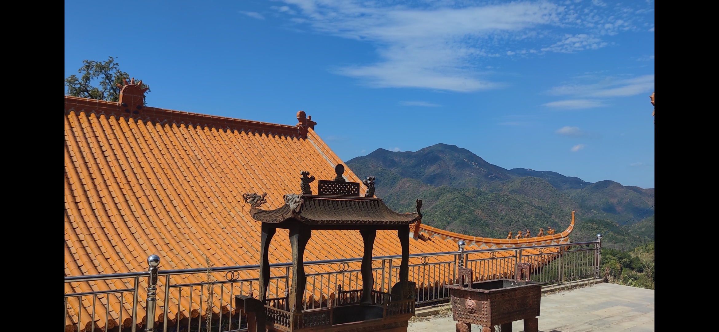 路过金寨银杏寺