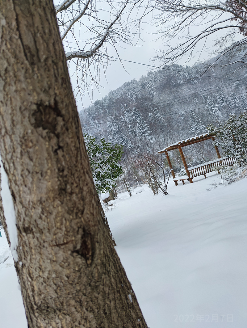 大雪